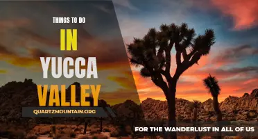 13 Fun and Free Things to Do in Yucca Valley