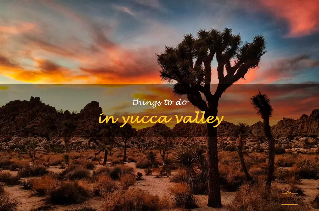 things to do in yucca valley