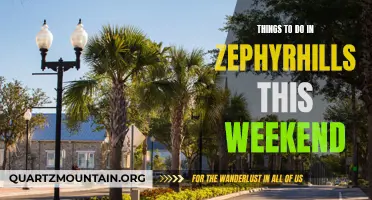 Top 10 Exciting Things to Do in Zephyrhills This Weekend