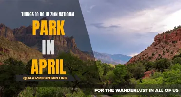 10 Exciting Activities to Experience in Zion National Park in April