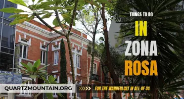 Exploring the Vibrant Neighborhood: Top Things to Do in Zona Rosa