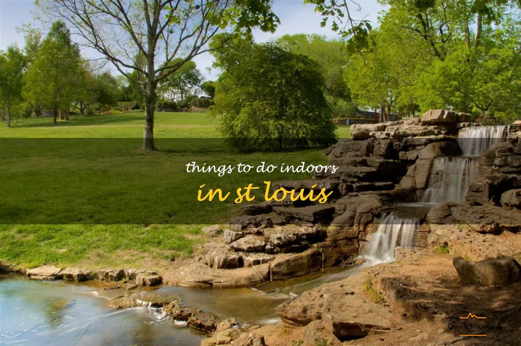 things to do indoors in st louis