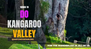 10 Awesome Activities to Experience in Kangaroo Valley
