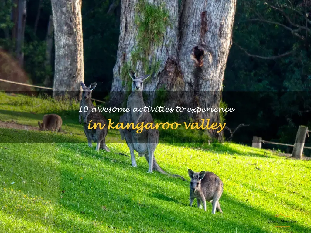 things to do kangaroo valley