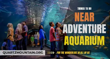 11 Exciting Activities Near Adventure Aquarium