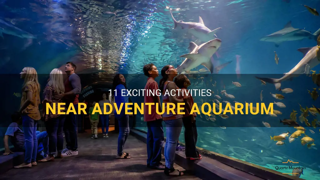 things to do near adventure aquarium