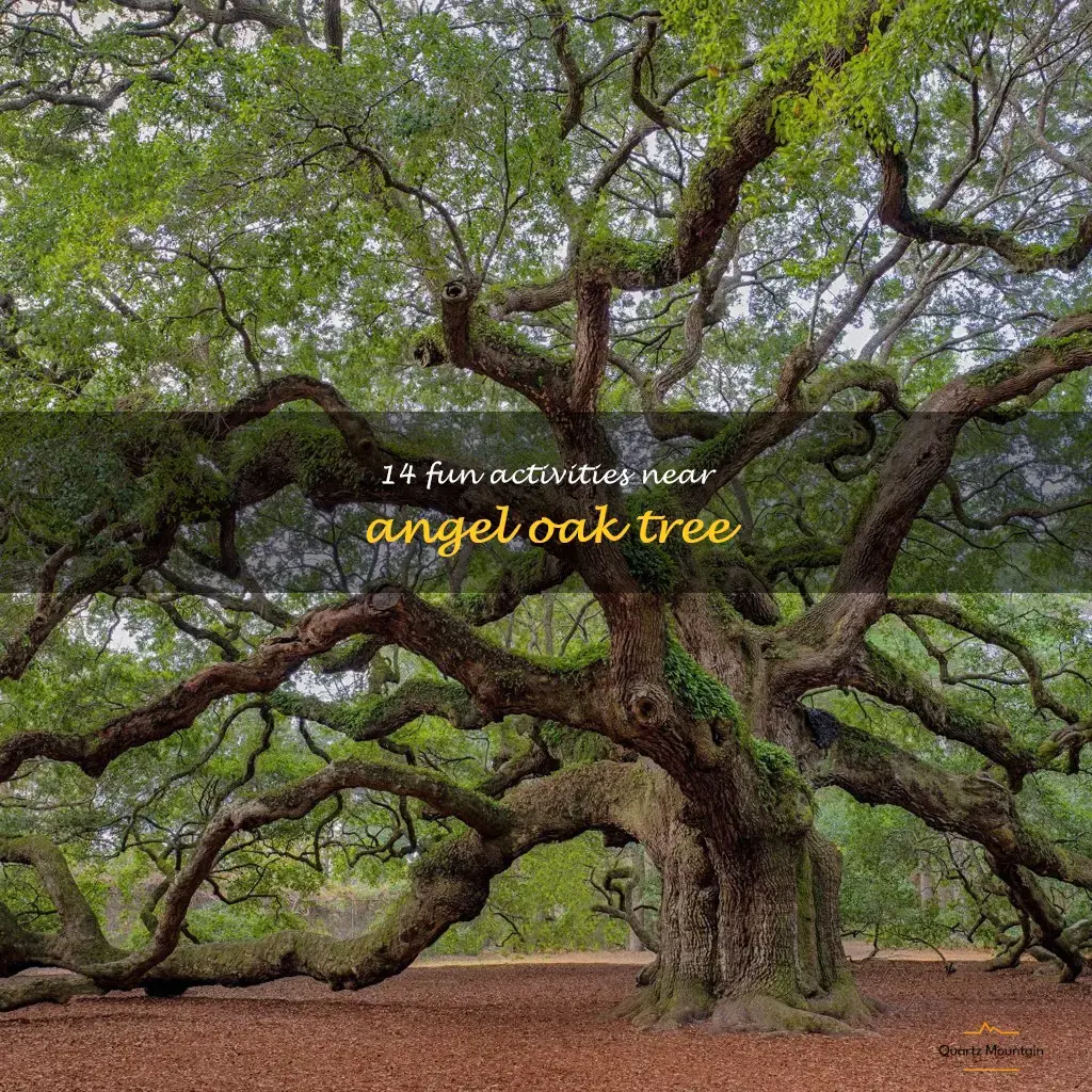 things to do near angel oak tree