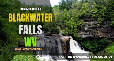 5 Amazing Outdoor Activities to Experience Near Blackwater Falls, WV