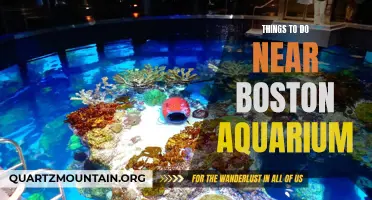 13 Fun Activities Near Boston Aquarium