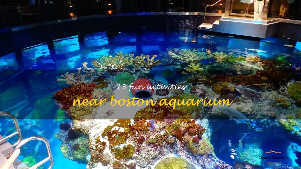 things to do near boston aquarium