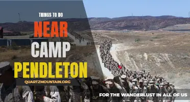 14 Exciting Things to Do Near Camp Pendleton