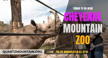 10 Best Things to Do Near Cheyenne Mountain Zoo