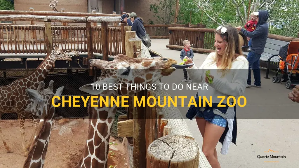 things to do near cheyenne mountain zoo