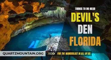 12 Exciting Activities Near Devil's Den Florida
