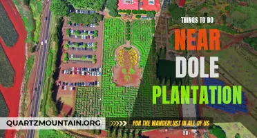 10 Amazing Things to Do Near Dole Plantation