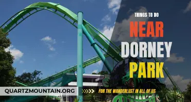 11 Exciting Activities to Experience Near Dorney Park!