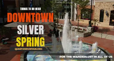 12 Exciting Activities to Try Near Downtown Silver Spring