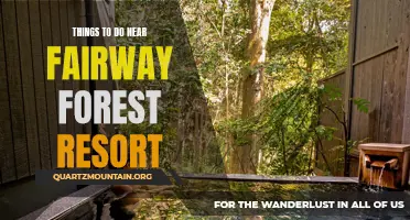 13 Exciting Activities Near Fairway Forest Resort