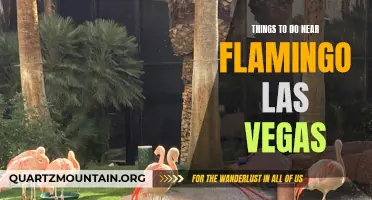 11 Exciting Things to Do near Flamingo Las Vegas