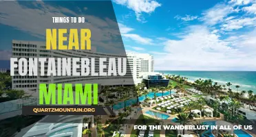Exploring Nearby Attractions: Fontainebleau Miami