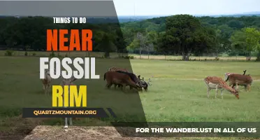 10 Exciting Activities to Experience Near Fossil Rim