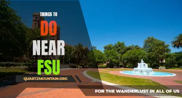 12 Fun Activities Near FSU That You Don't Want to Miss