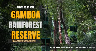 13 Must-Do Activities Near Gamboa Rainforest Reserve