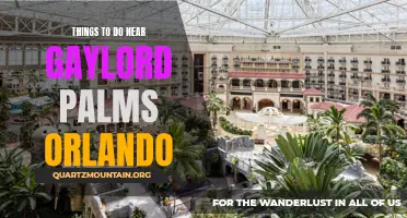 13 Exciting Things to Do Near Gaylord Palms Orlando