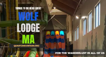10 Fun Activities to Do Near Great Wolf Lodge MA