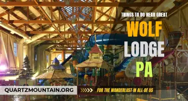 12 Fun Activities to Try Near Great Wolf Lodge PA