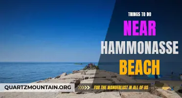 12 Fun Activities Near Hammonasset Beach