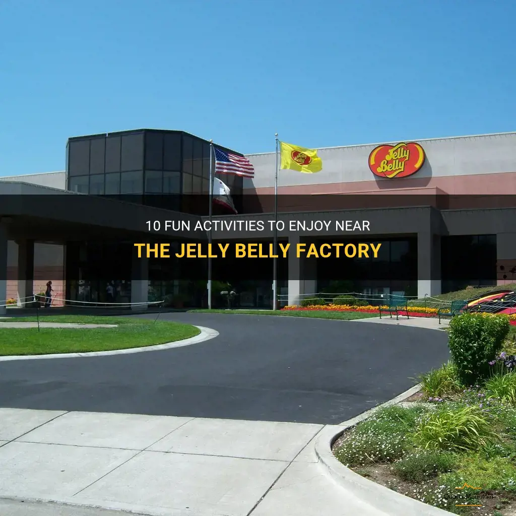 things to do near jelly belly factory