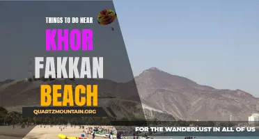 13 Fun Activities to Try Near Khor Fakkan Beach