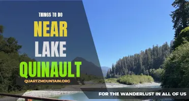 10 Activities to Enjoy Near Lake Quinault