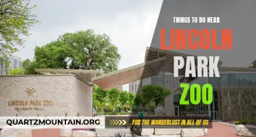 12 Exciting Activities Near Lincoln Park Zoo
