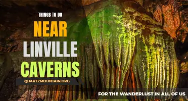 14 Fun and Exciting Things to Do Near Linville Caverns
