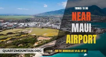 12 Exciting Activities to Enjoy Near Maui Airport