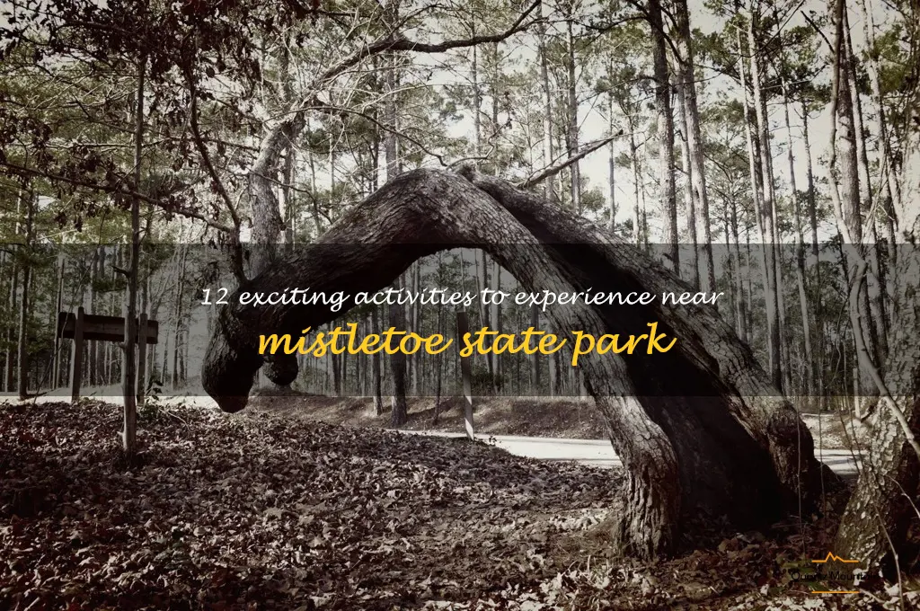 things to do near mistletoe state park