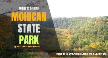 13 Fun Things to Do Near Mohican State Park