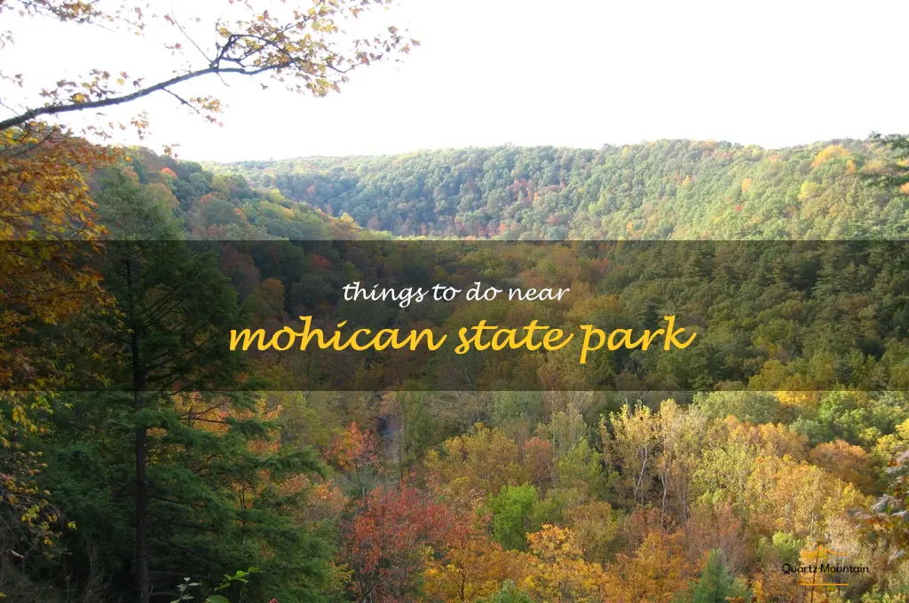 things to do near mohican state park