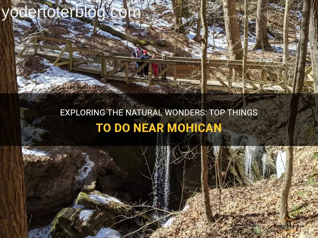 things to do near mohican
