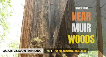 13 Fascinating Activities to Enjoy Near Muir Woods