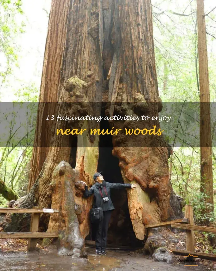things to do near muir woods