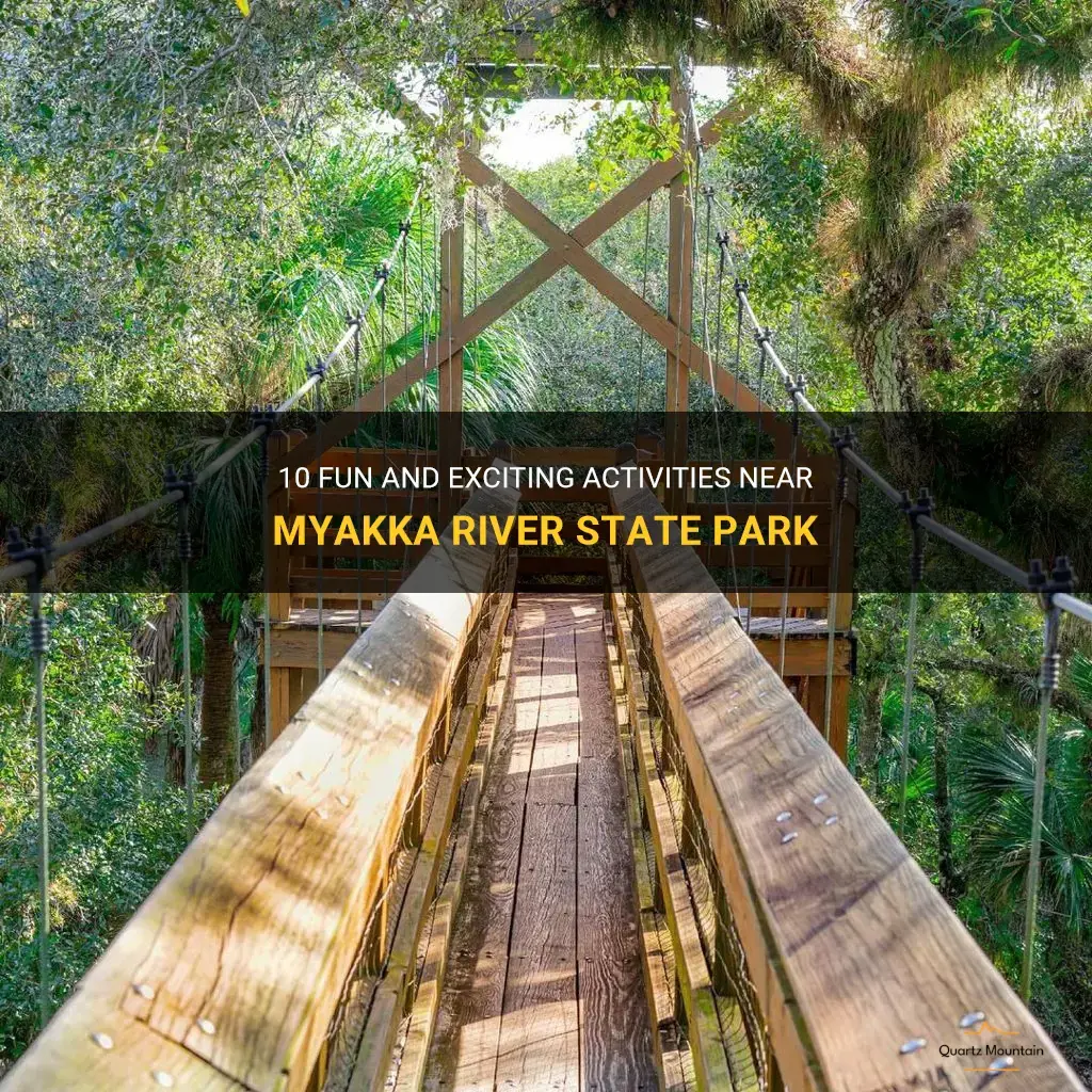 things to do near myakka river state park