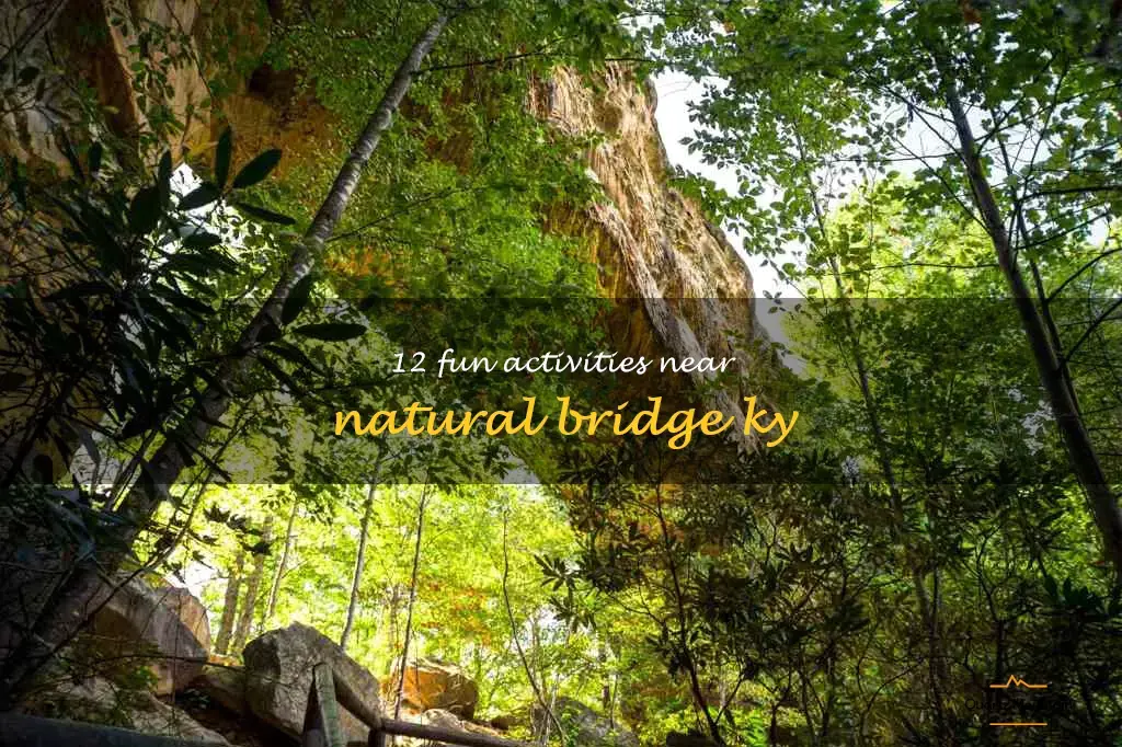 things to do near natural bridge ky