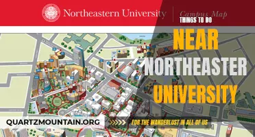 10 Best Activities to Enjoy near Northeastern University