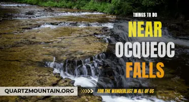 12 Fun Activities to Enjoy Near Ocqueoc Falls