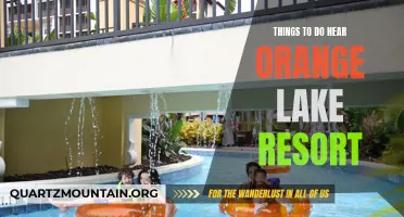12 Exciting Activities Near Orange Lake Resort