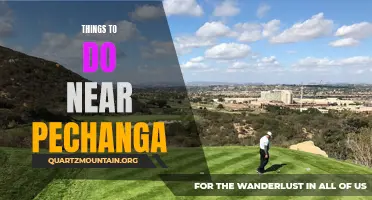 12 Exciting Activities Near Pechanga That You Can't Miss!