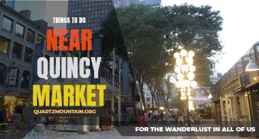 12 Thrilling Activities Near Quincy Market to Try Today